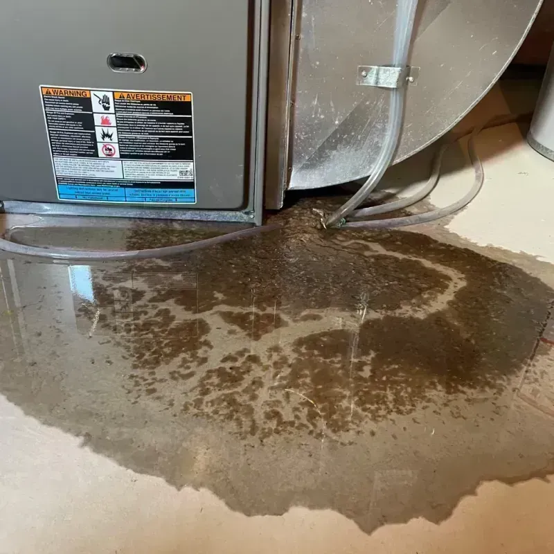 Appliance Leak Cleanup in Florissant, MO